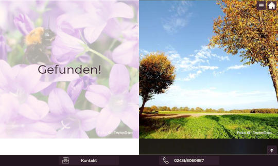 Screenshot www.twoodoo.de/webdesign-krefeld/