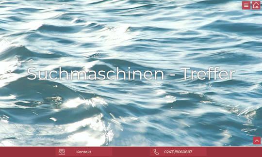 Screenshot www.twoodoo.de/webdesign-neuss/