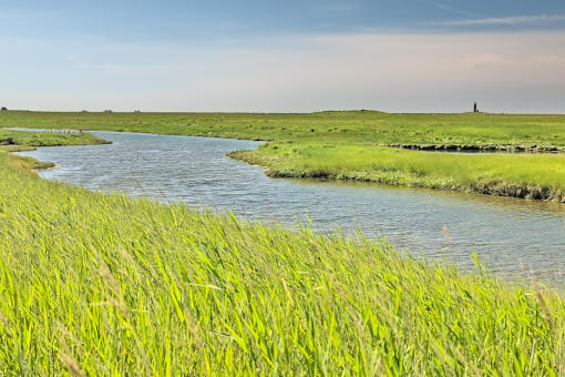 Foto Priel in Salzwiese auf Hallig Langeness