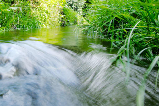 Flusslauf im Grünen