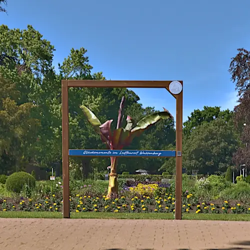 TwooDoo - Sonnenblume in Blüte