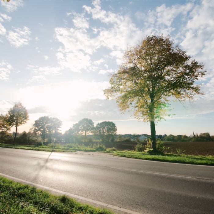 Foto Bundesstraße am Niederrhein mit Bäumen in der Herbstsonne