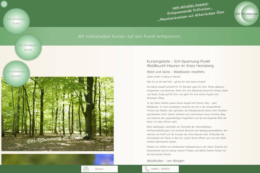 Screenshot www.ent-spannung-punkt.de