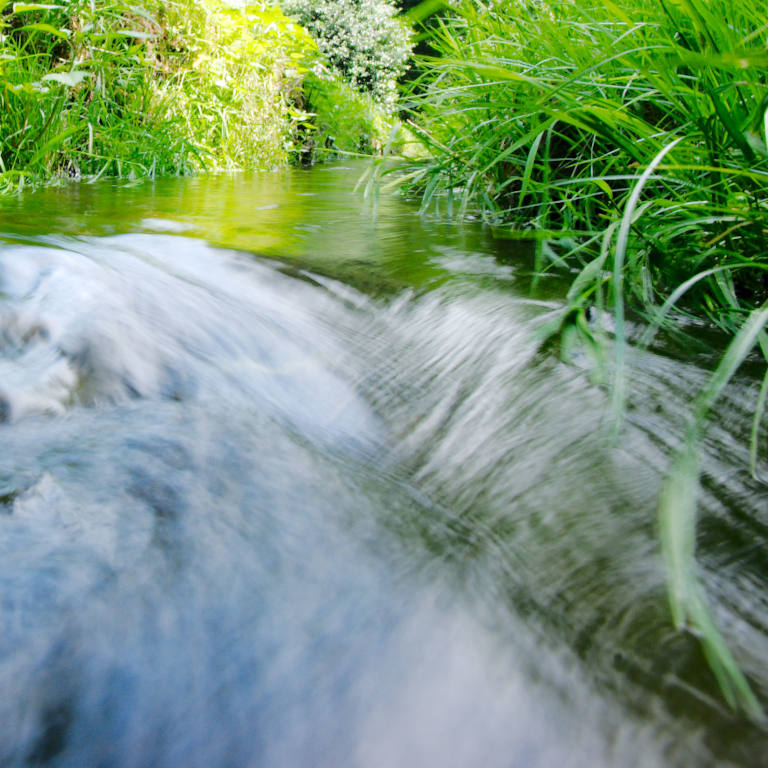 Flusslauf im Grünen