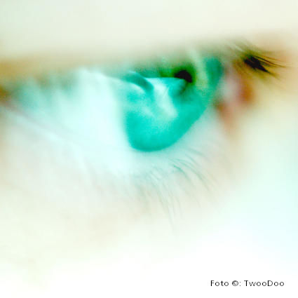 TwooDoo - Auge